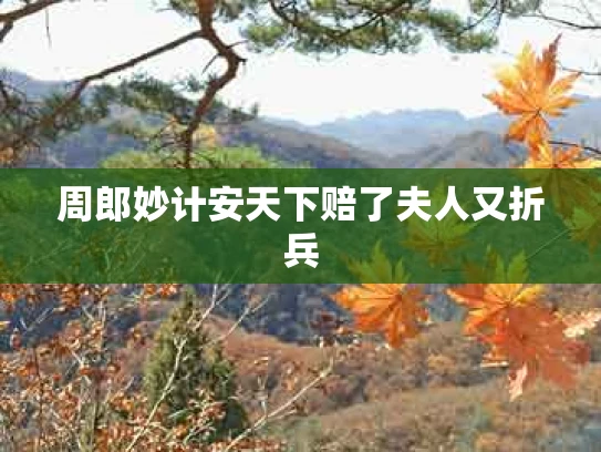 周郎妙计安天下赔了夫人又折兵