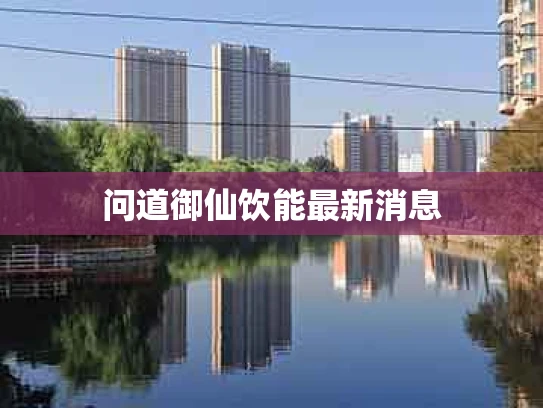 问道御仙饮能最新消息