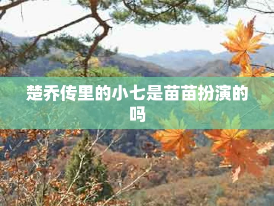 楚乔传里的小七是苗苗扮演的吗