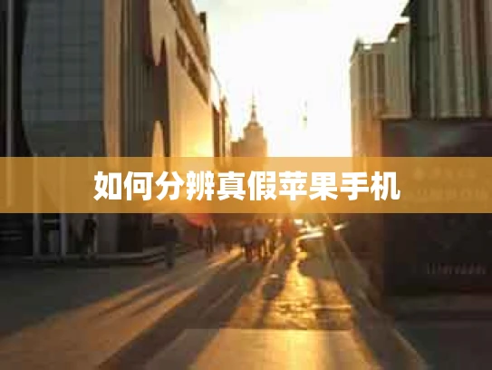 如何分辨真假苹果手机