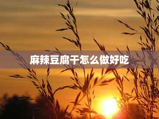麻辣豆腐干怎么做好吃