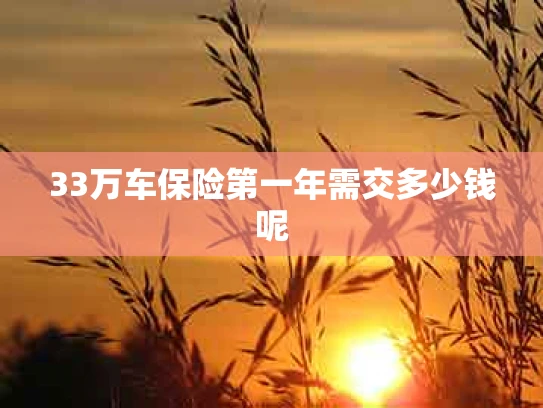 33万车保险第一年需交多少钱呢