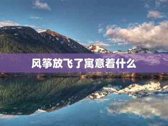 风筝放飞了寓意着什么