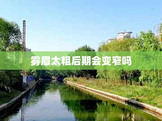 雾眉太粗后期会变窄吗