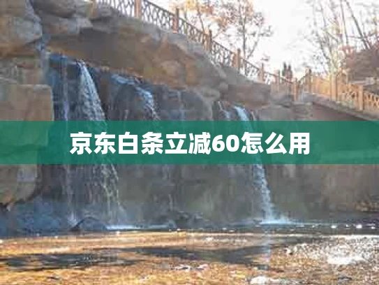 京东白条立减60怎么用