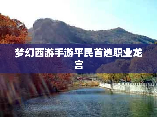 梦幻西游手游平民首选职业龙宫