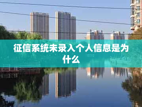征信系统未录入个人信息是为什么
