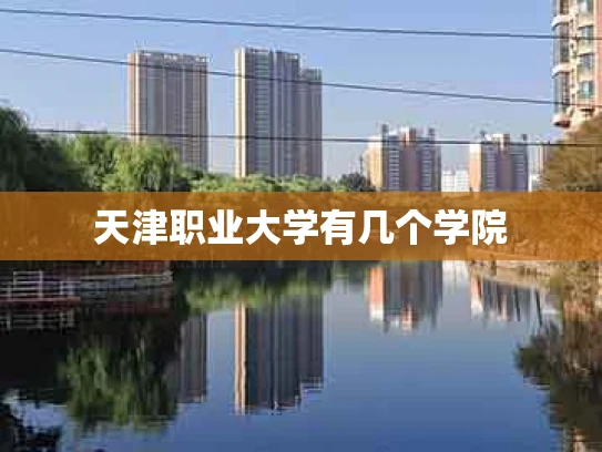 天津职业大学有几个学院