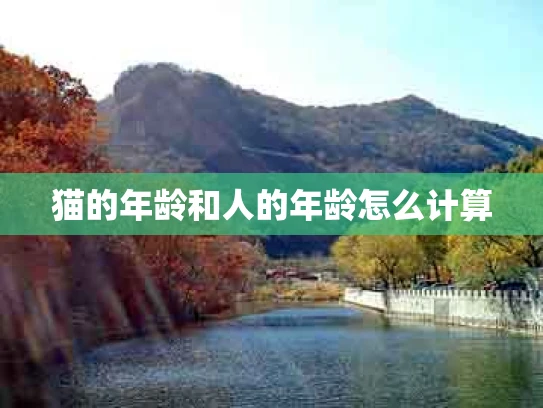 猫的年龄和人的年龄怎么计算