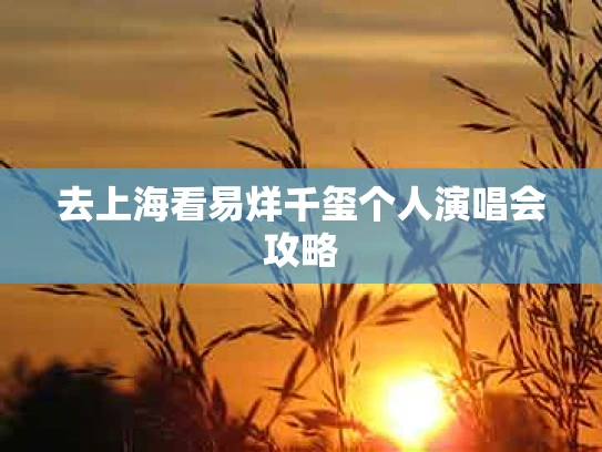 去上海看易烊千玺个人演唱会攻略