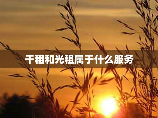 干租和光租属于什么服务