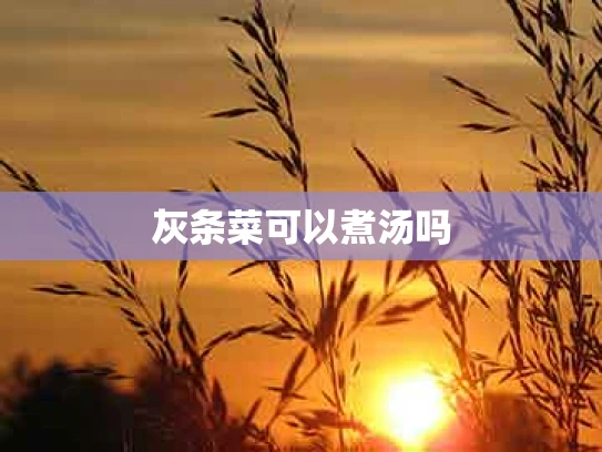 灰条菜可以煮汤吗
