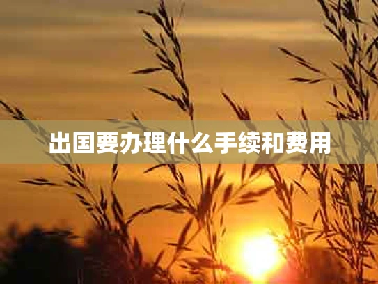 出国要办理什么手续和费用
