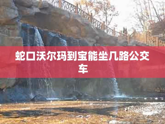 蛇口沃尔玛到宝能坐几路公交车