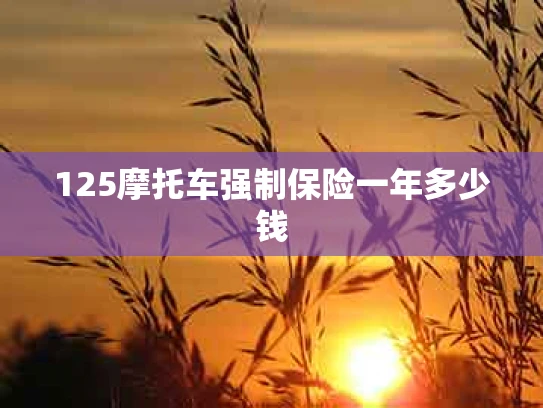125摩托车强制保险一年多少钱