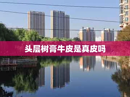 头层树膏牛皮是真皮吗