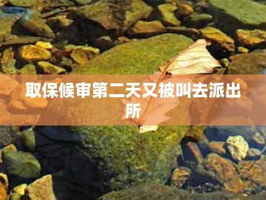 取保候审第二天又被叫去派出所