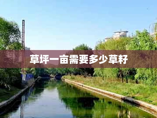 草坪一亩需要多少草籽