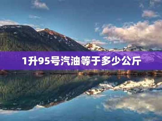 1升95号汽油等于多少公斤