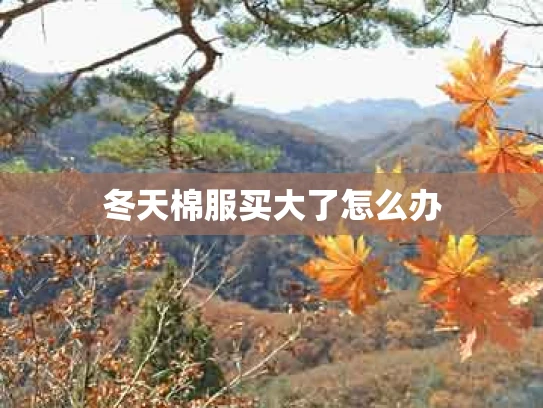 冬天棉服买大了怎么办