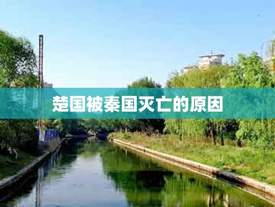 楚国被秦国灭亡的原因