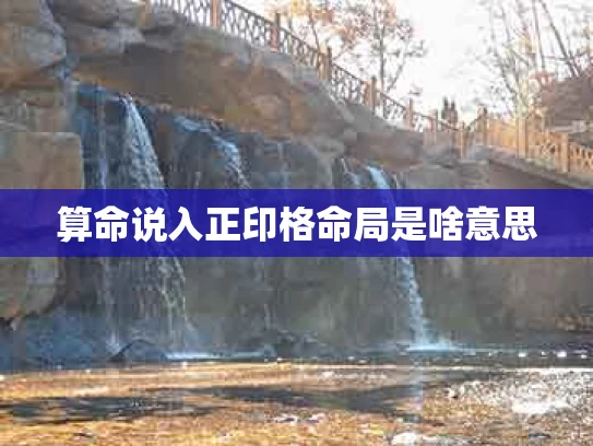 算命说入正印格命局是啥意思