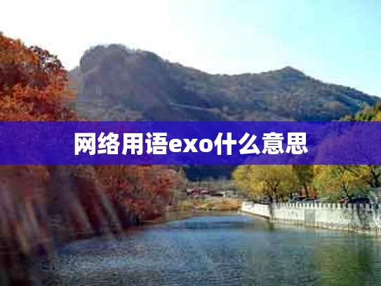 网络用语exo什么意思