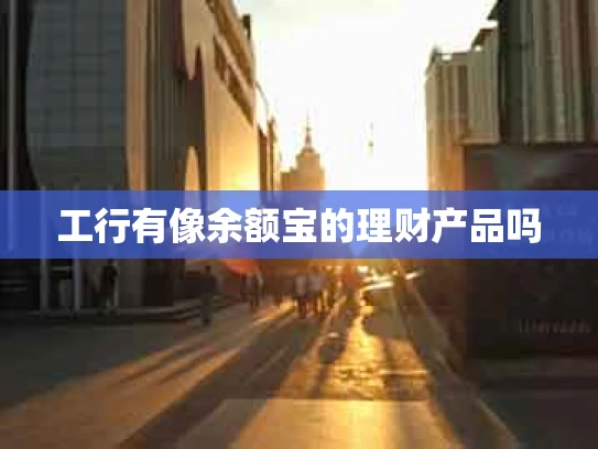 工行有像余额宝的理财产品吗