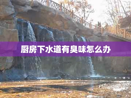 厨房下水道有臭味怎么办