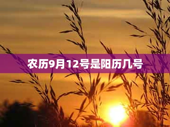 农历9月12号是阳历几号