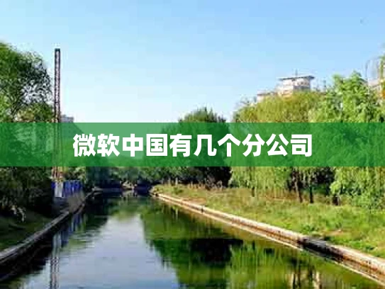 微软中国有几个分公司