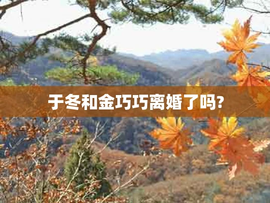 于冬和金巧巧离婚了吗?