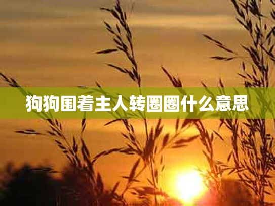 狗狗围着主人转圈圈什么意思