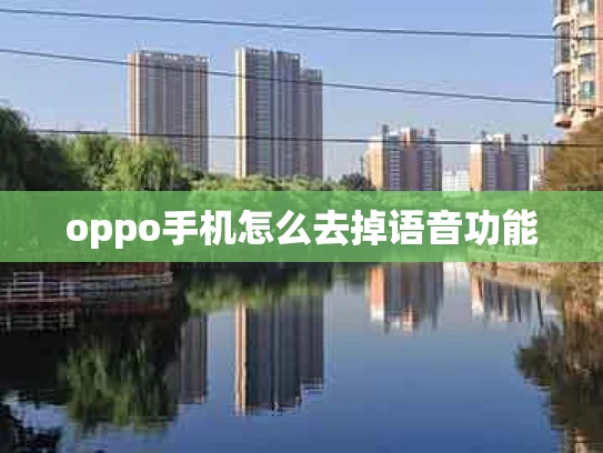 oppo手机怎么去掉语音功能