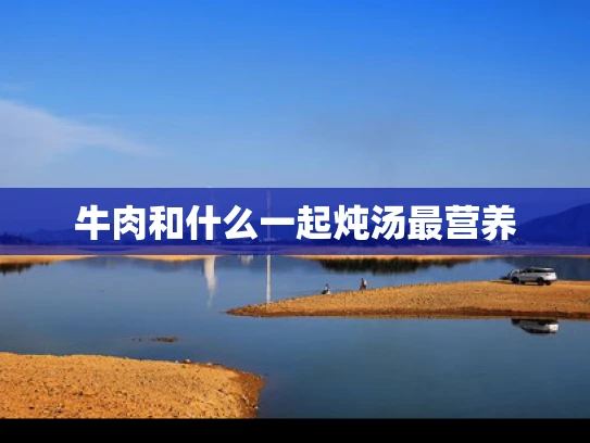 牛肉和什么一起炖汤最营养