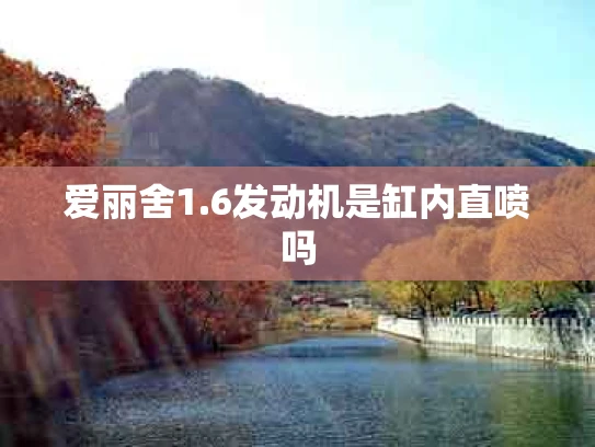 爱丽舍1.6发动机是缸内直喷吗