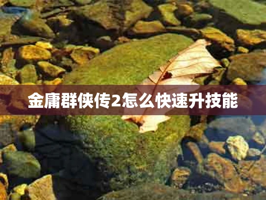 金庸群侠传2怎么快速升技能