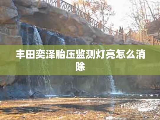 丰田奕泽胎压监测灯亮怎么消除