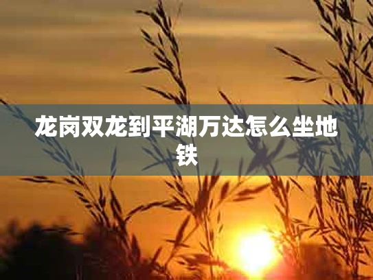 龙岗双龙到平湖万达怎么坐地铁