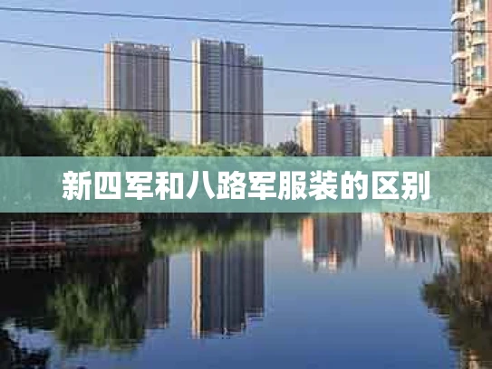 新四军和八路军服装的区别