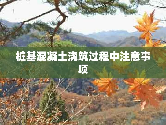 桩基混凝土浇筑过程中注意事项