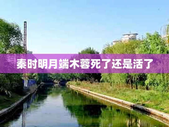 秦时明月端木蓉死了还是活了