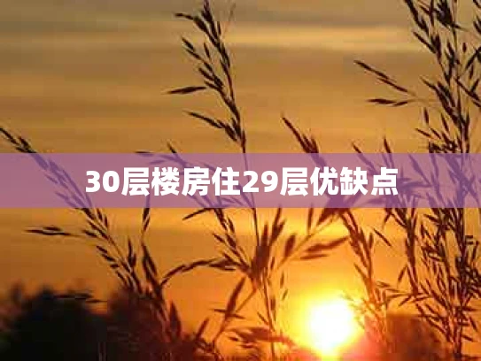 30层楼房住29层优缺点