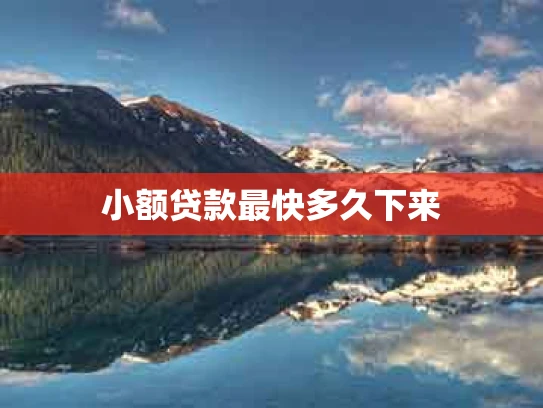 小额贷款最快多久下来