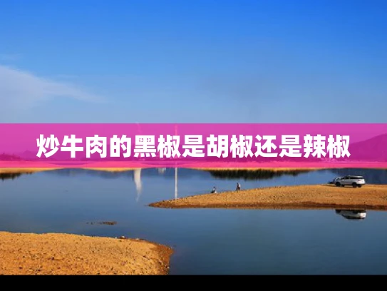 炒牛肉的黑椒是胡椒还是辣椒