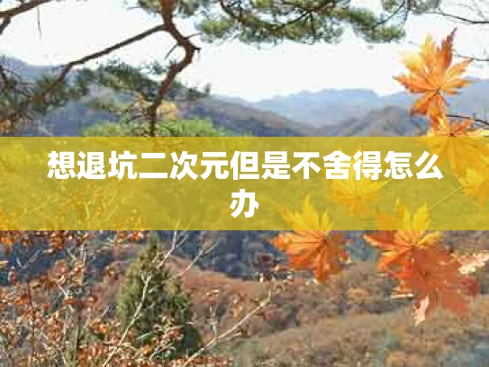 想退坑二次元但是不舍得怎么办