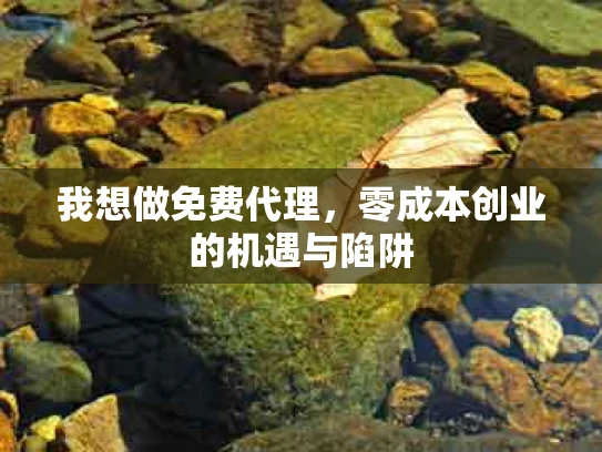 我想做免费代理，零成本创业的机遇与陷阱