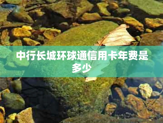 中行长城环球通信用卡年费是多少