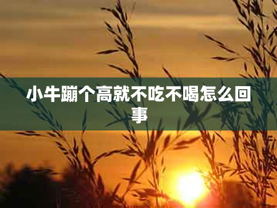 小牛蹦个高就不吃不喝怎么回事