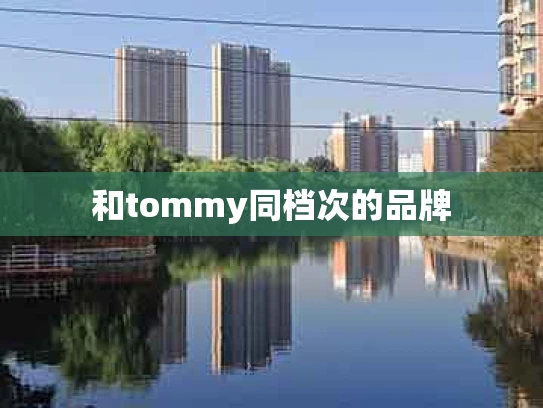 和tommy同档次的品牌